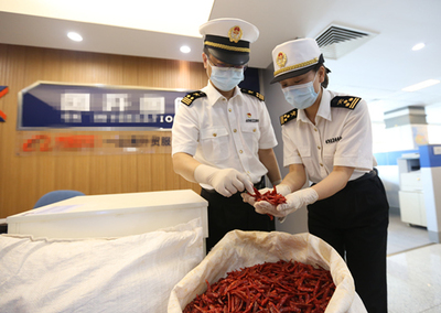 中非經(jīng)貿(mào)博覽會 合作成果豐碩，攜手共譜發(fā)展新篇