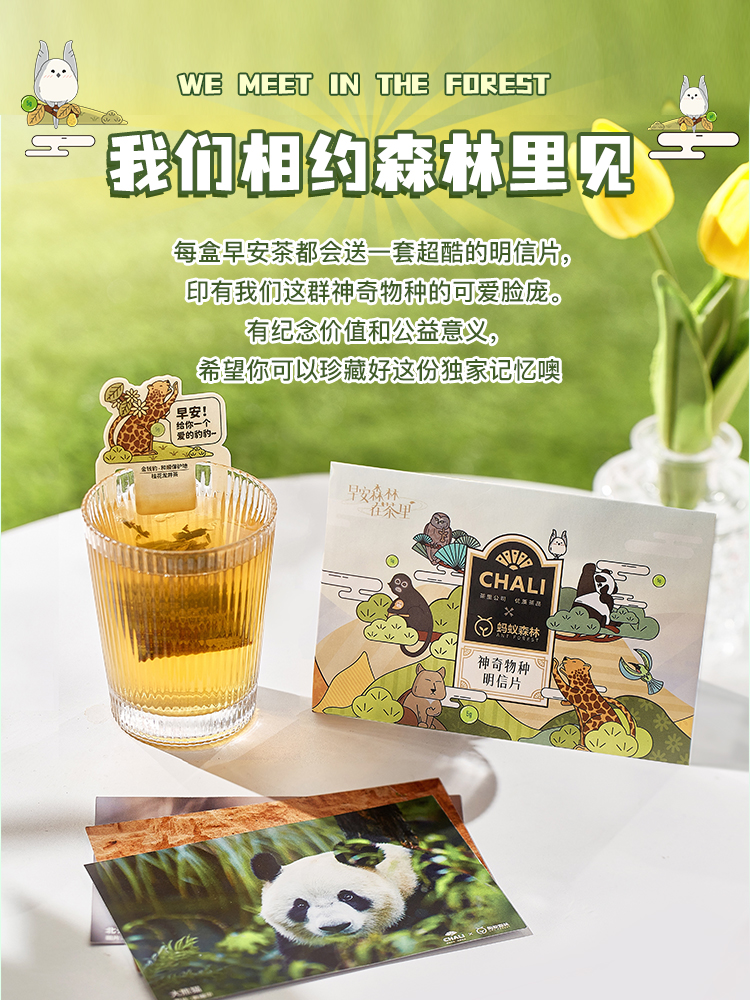 早安茶香，點亮綠色生活——CHALI茶里×螞蟻森林聯名花果茶體驗